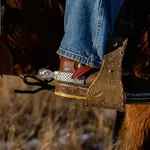 Western Spurs & Spurstraps