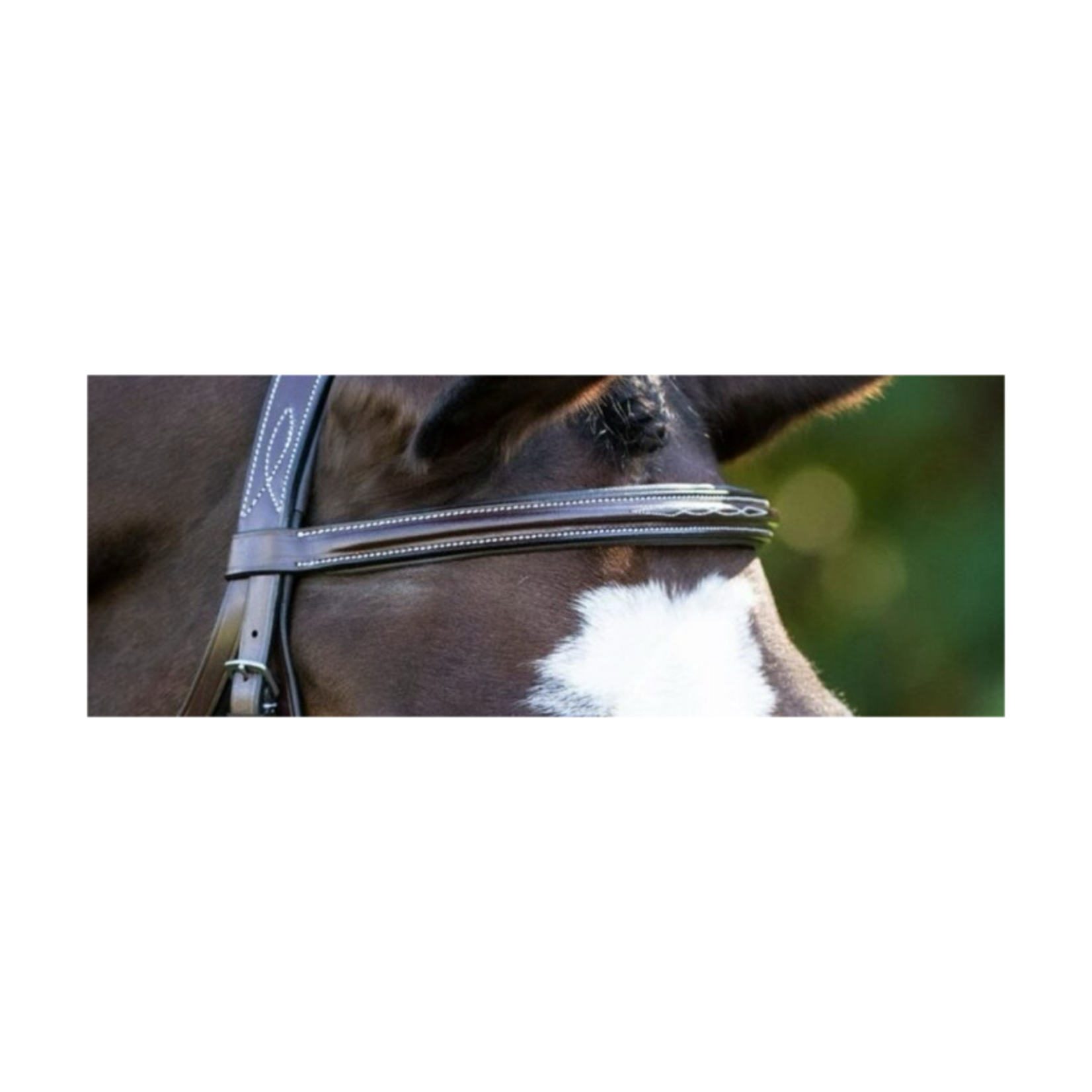 Black Oak Laurel Browband - Warmblood