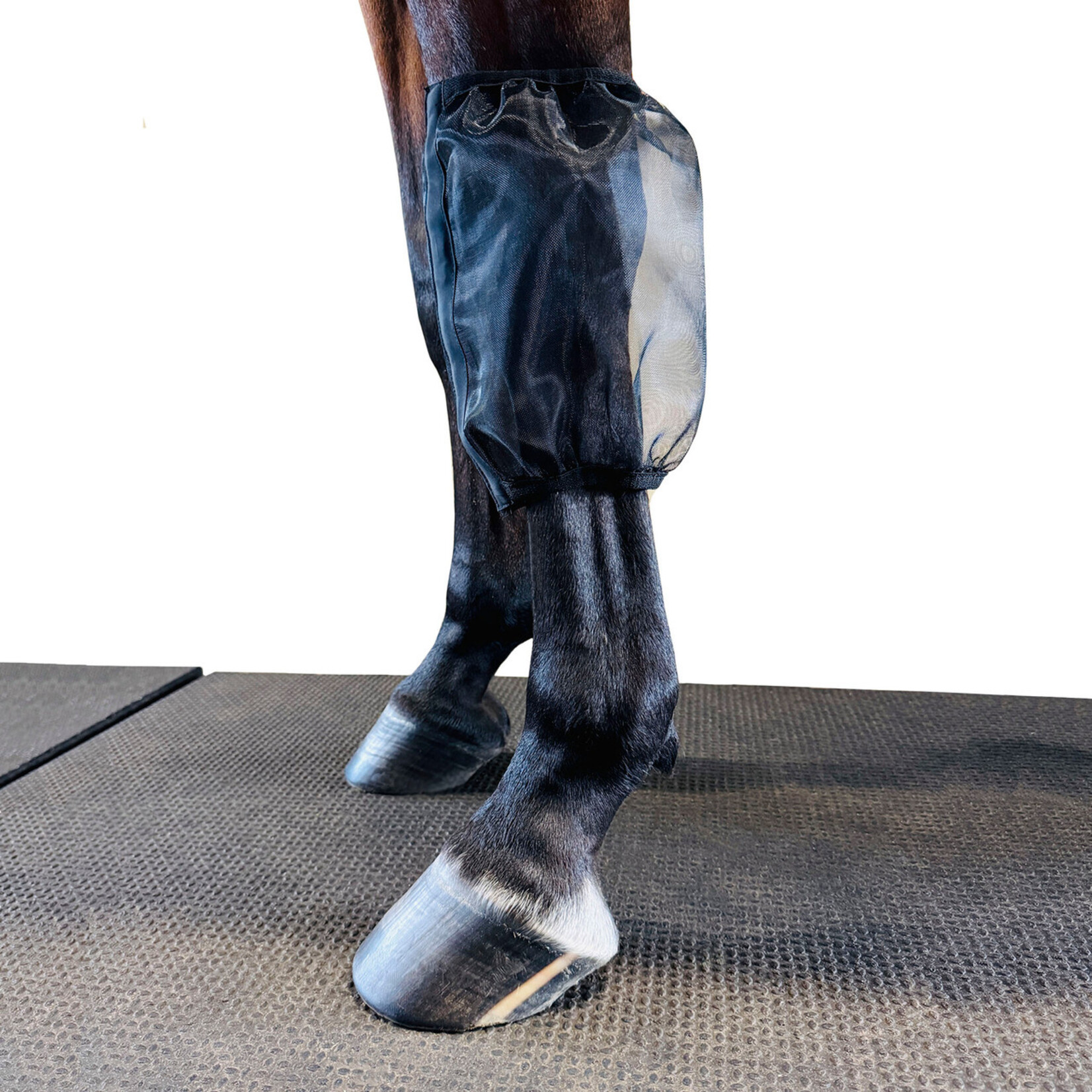 Ace Ace Eq Pro4mance Com4rt Mesh Knee/Pastern Nets