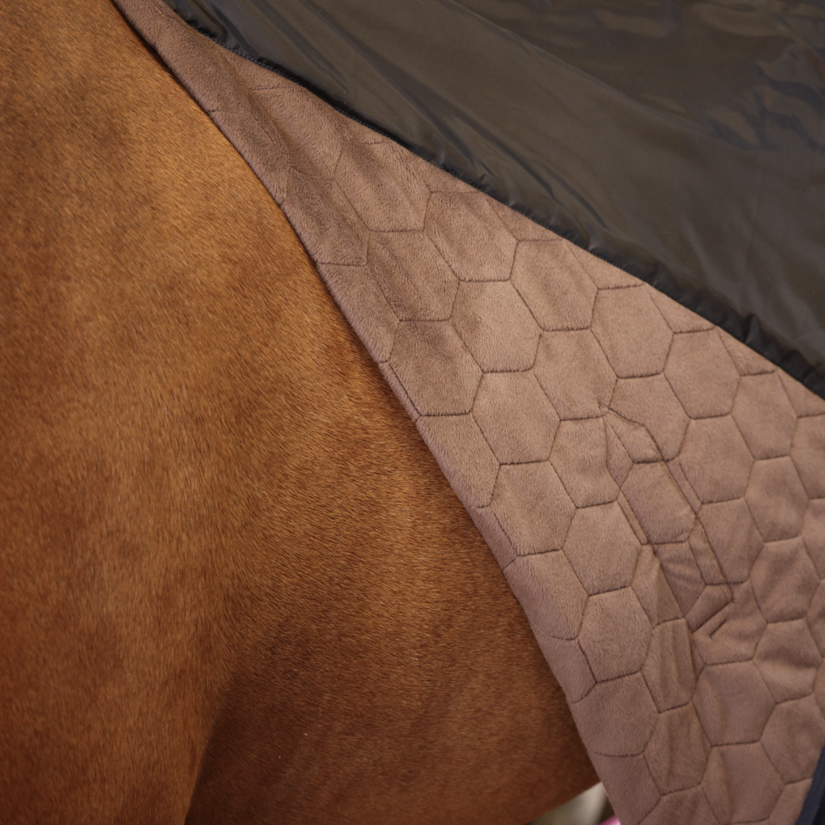 Shires Shires Deluxe Quilted Rug