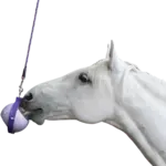 Likit Likit Boredom Buster