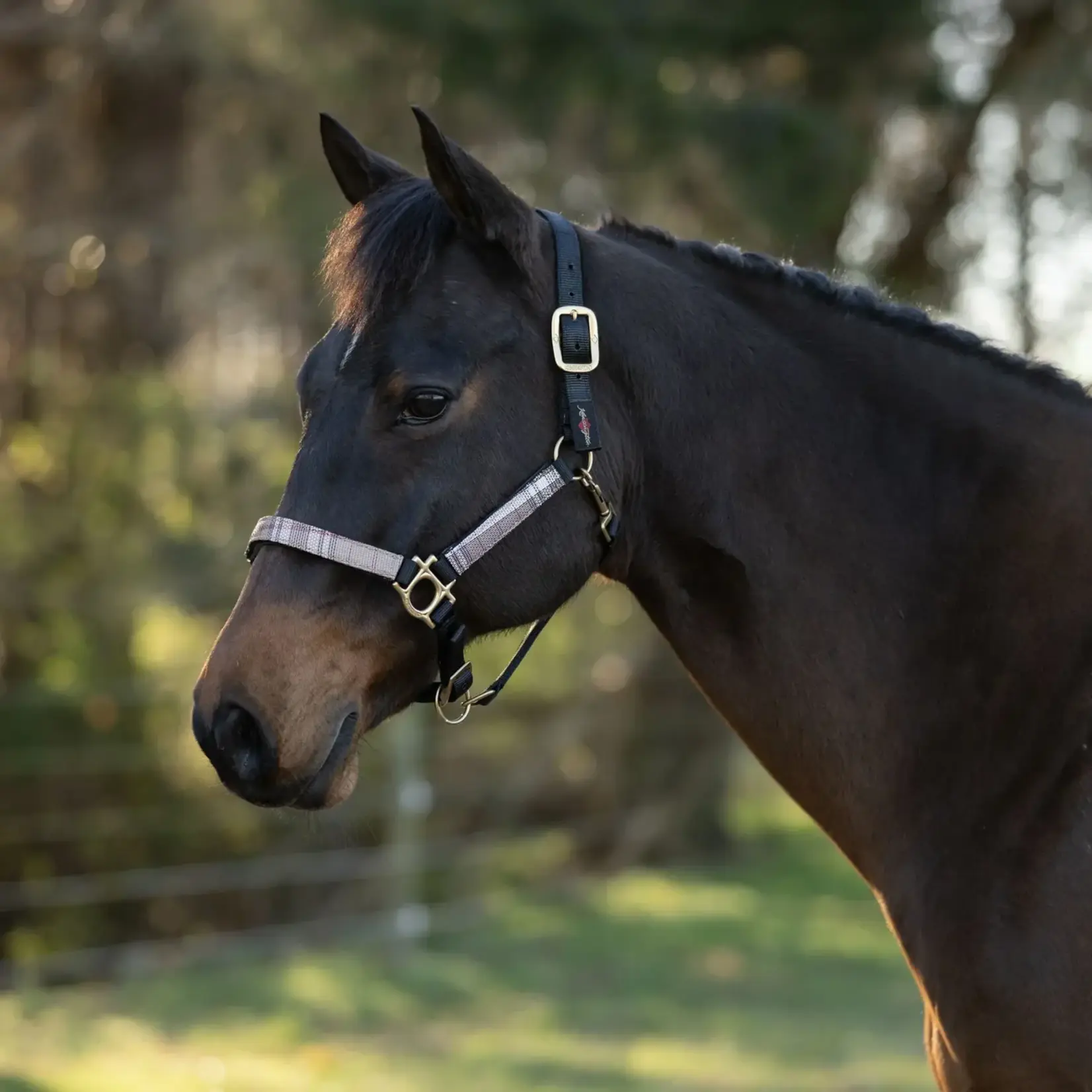 Kensington Premium Nylon Halter