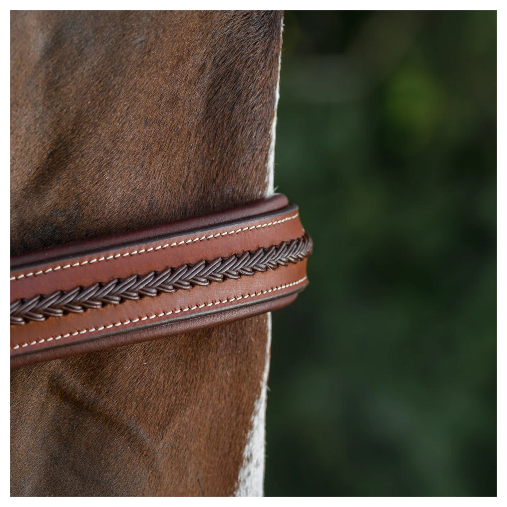 Commonwealth Saddles Commonwealth Tack Braided Training Bridle