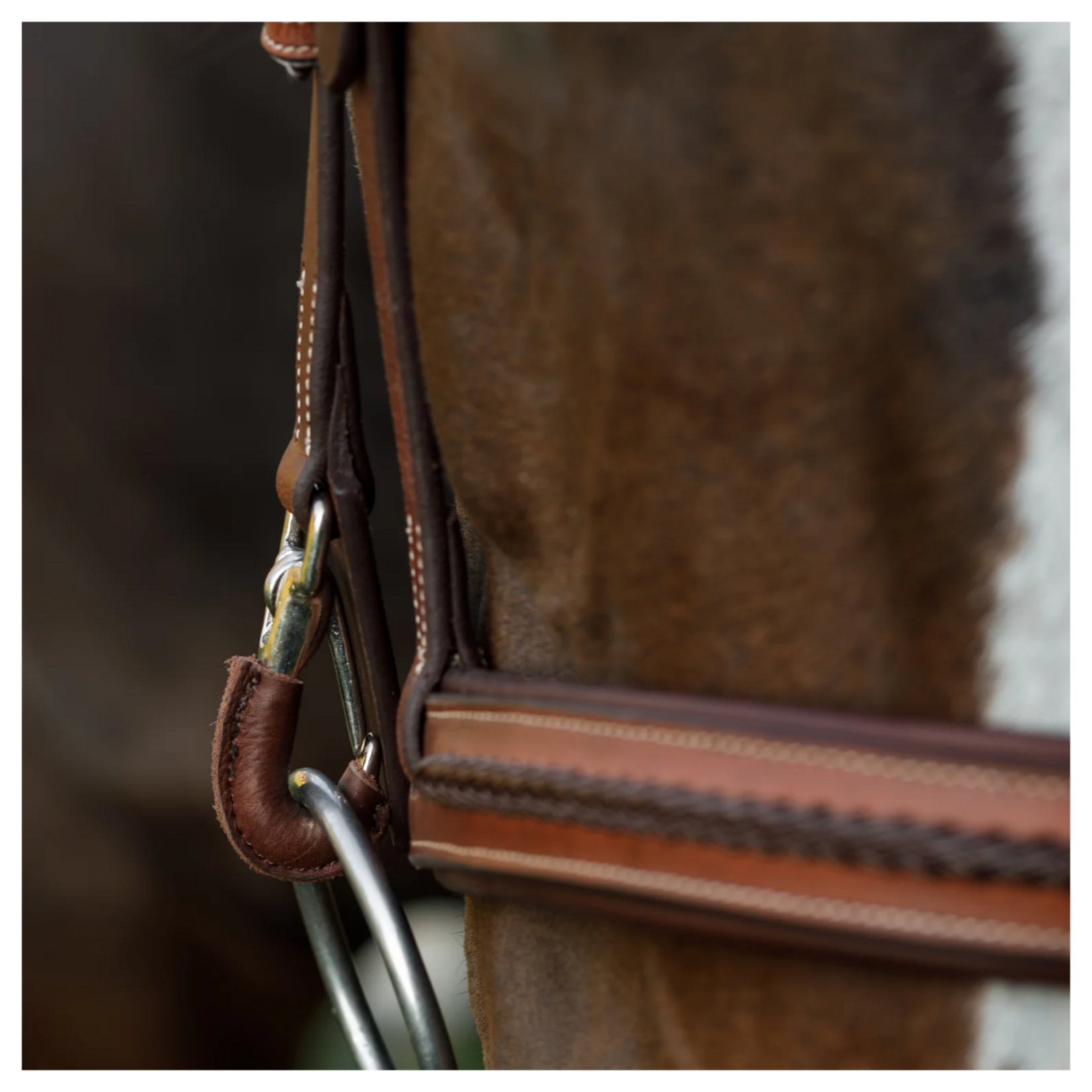Commonwealth Saddles Commonwealth Tack Braided Training Bridle