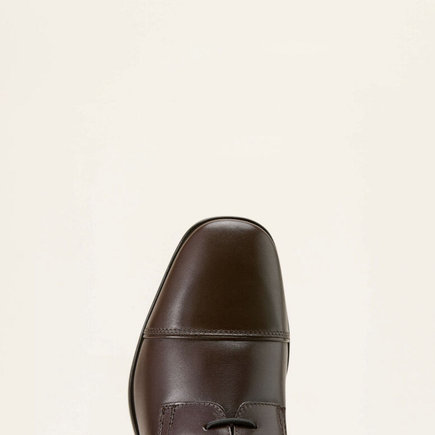 Ariat Ladies' Palisade Mahogany Field Boot