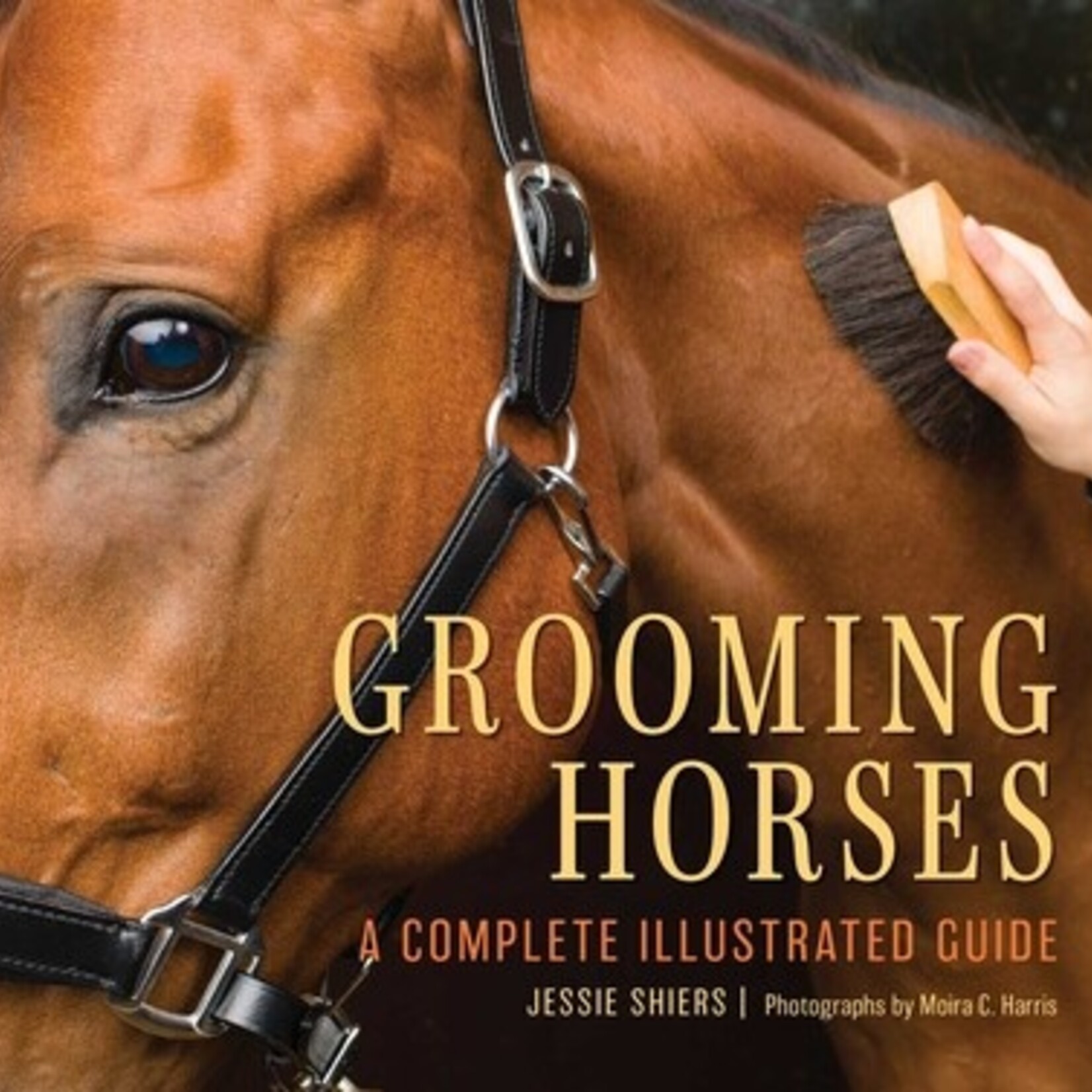 Grooming Horses: A Complete Illustrated Guide