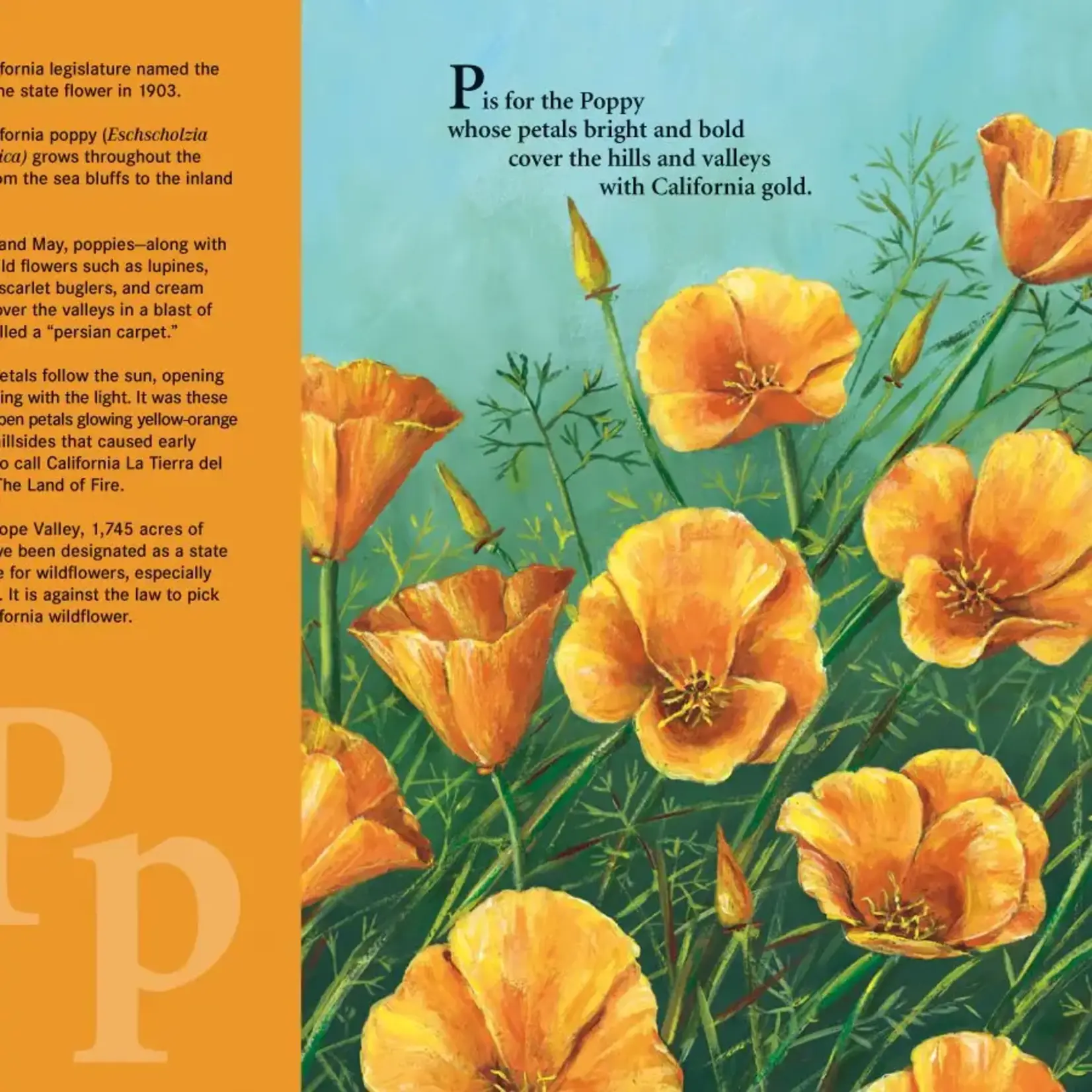 G is for Golden: A California Alphabet