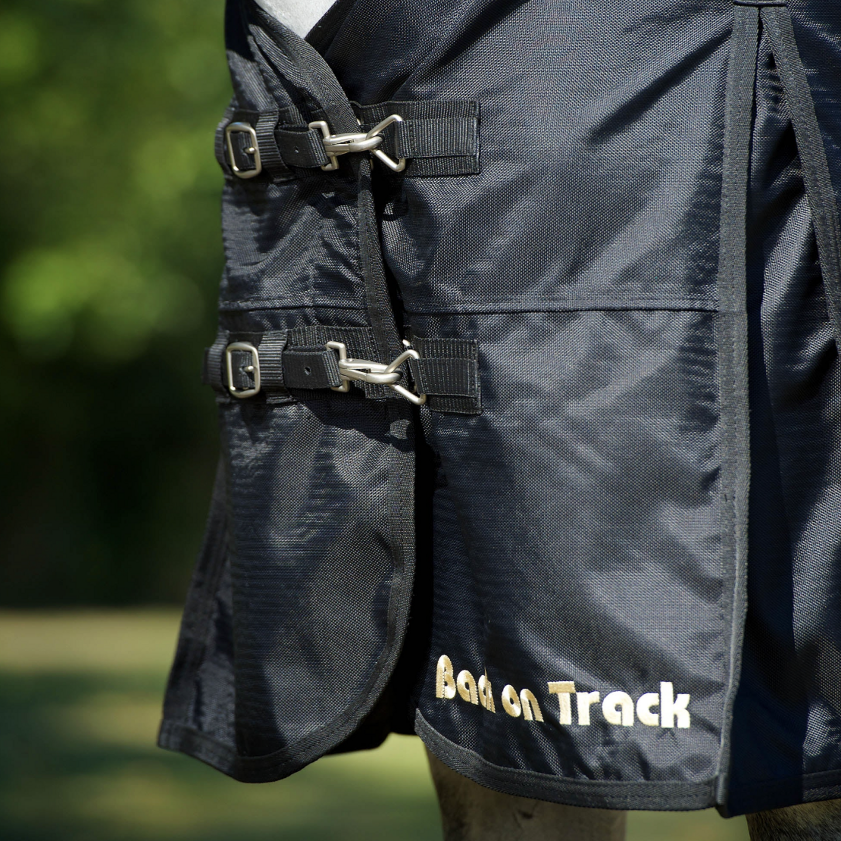 Back on Track Classic Turnout Sheet