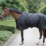 Back on Track Classic Turnout Sheet