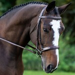 KL Select Tuscany Bridle