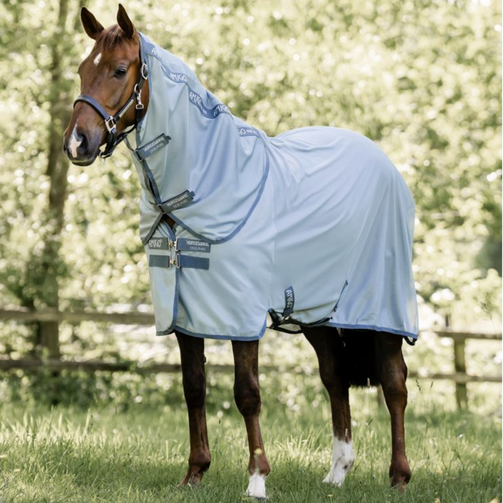 Horsewear Amigo Bug Rug Fly Sheet