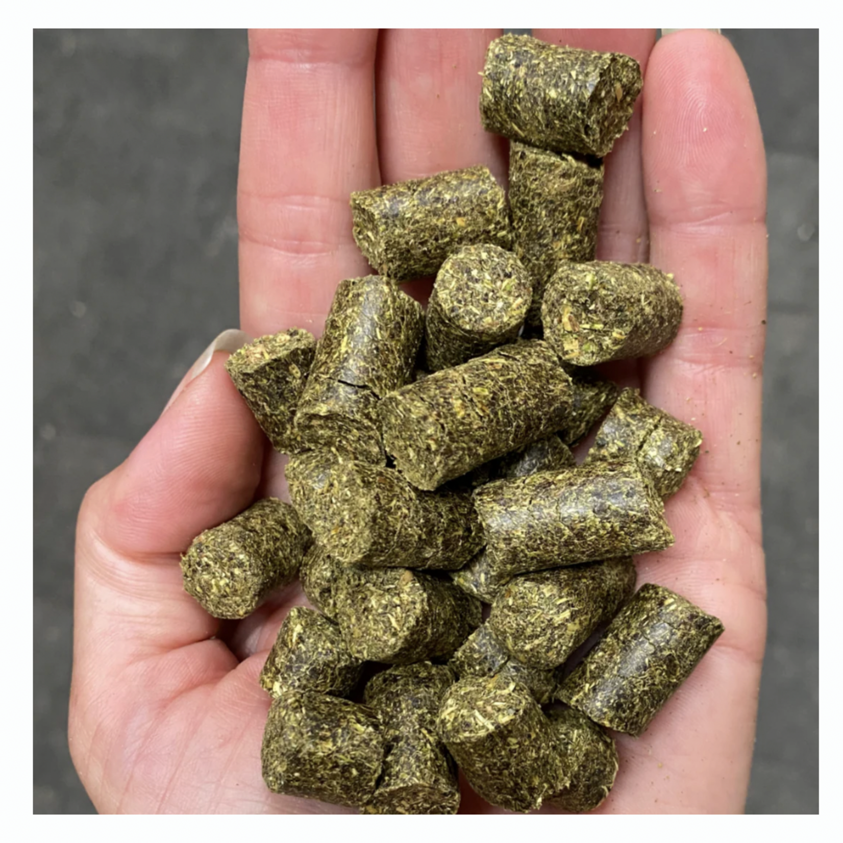 Grazers Grazers Nutri-Treats 1.5lb