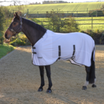 Shires Tempest Original Fly Sheet