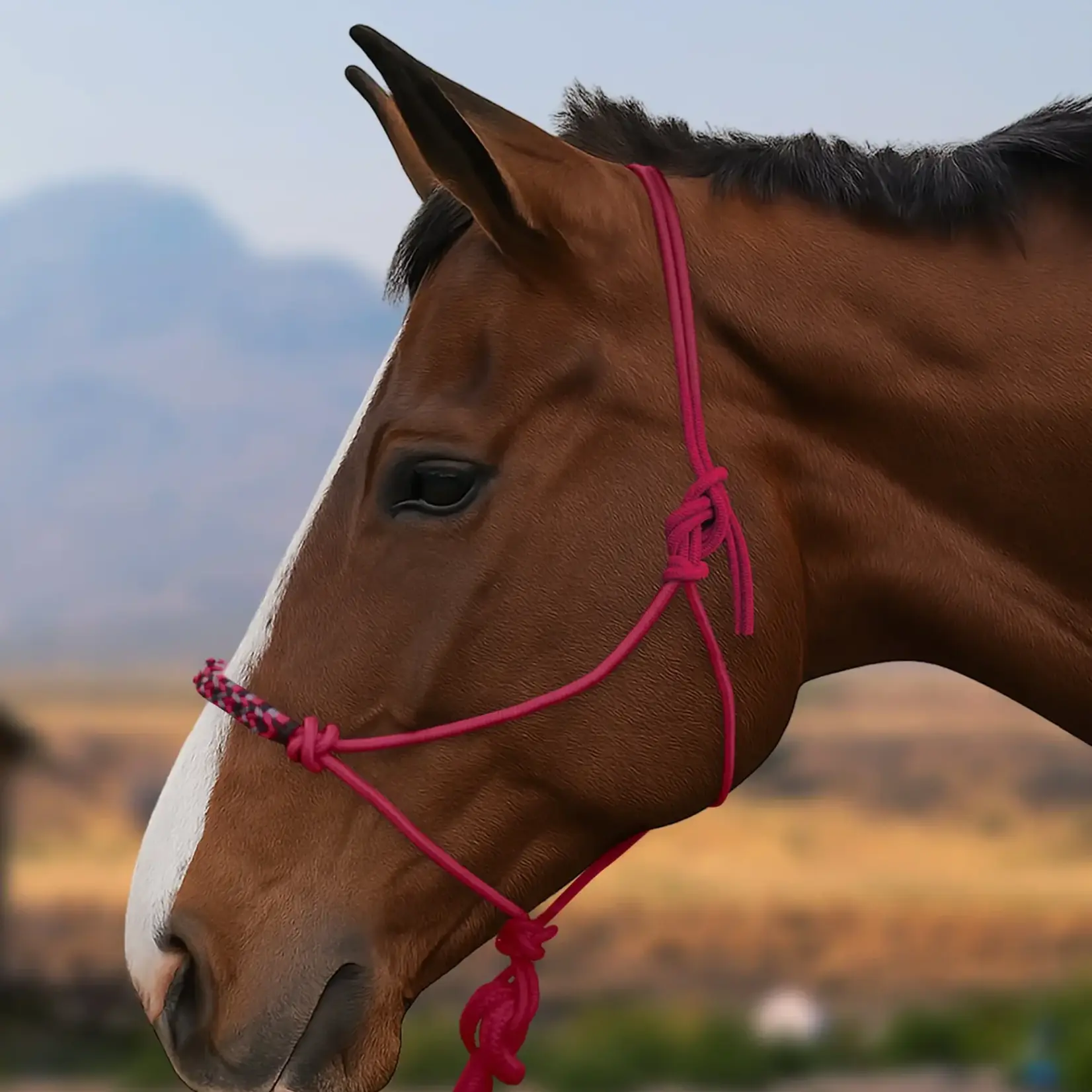 Kensington Clinician Rope Halter