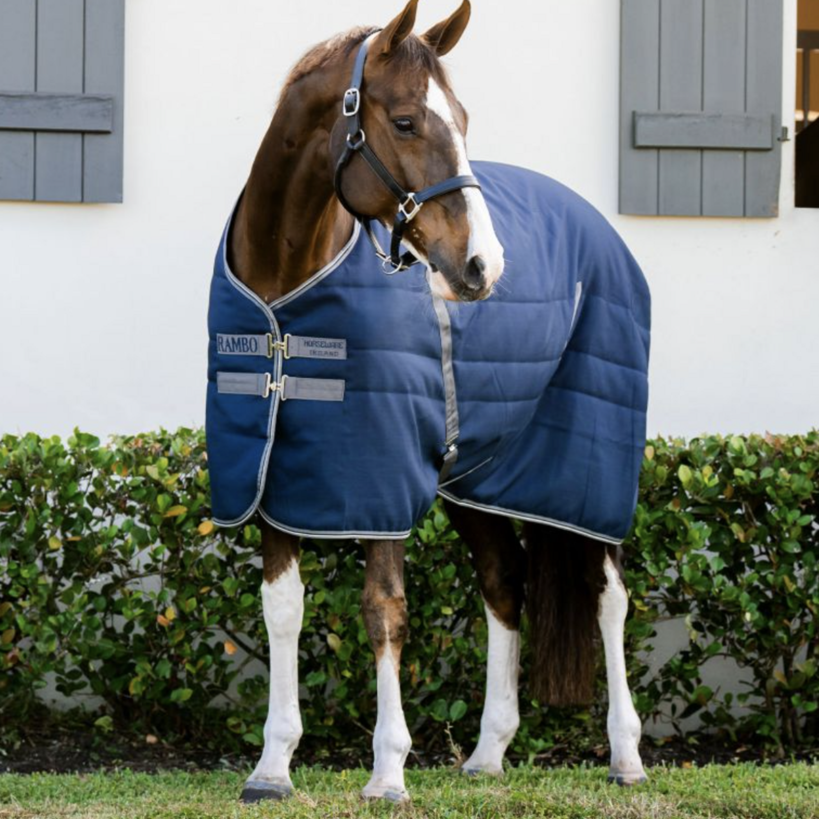 Rambo Stable Blanket