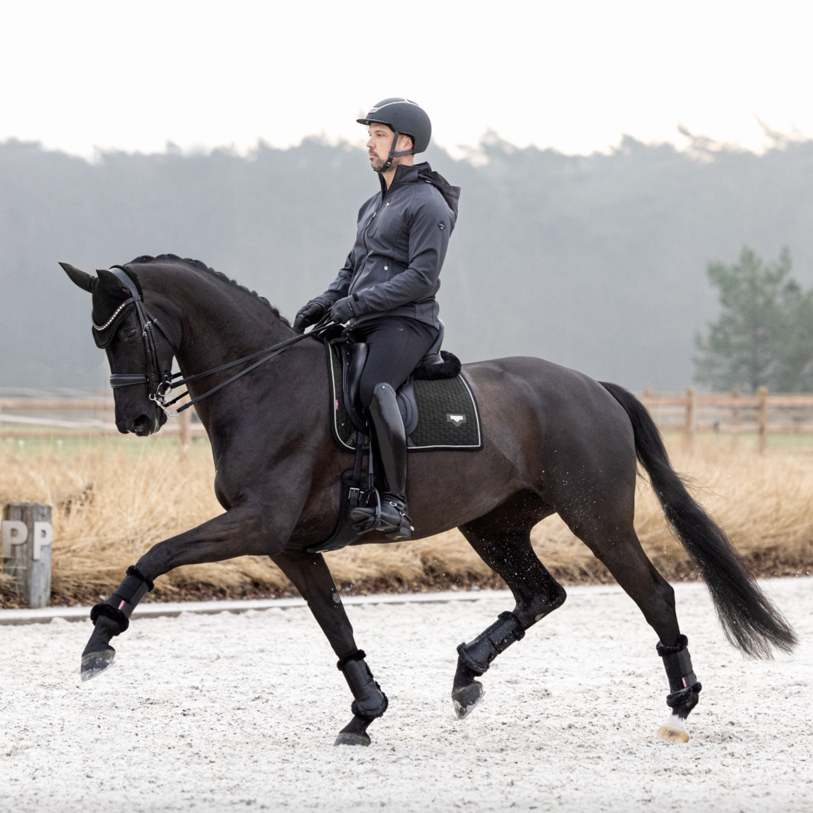 Lemieux Lemieux Puissance Dressage Square Pad