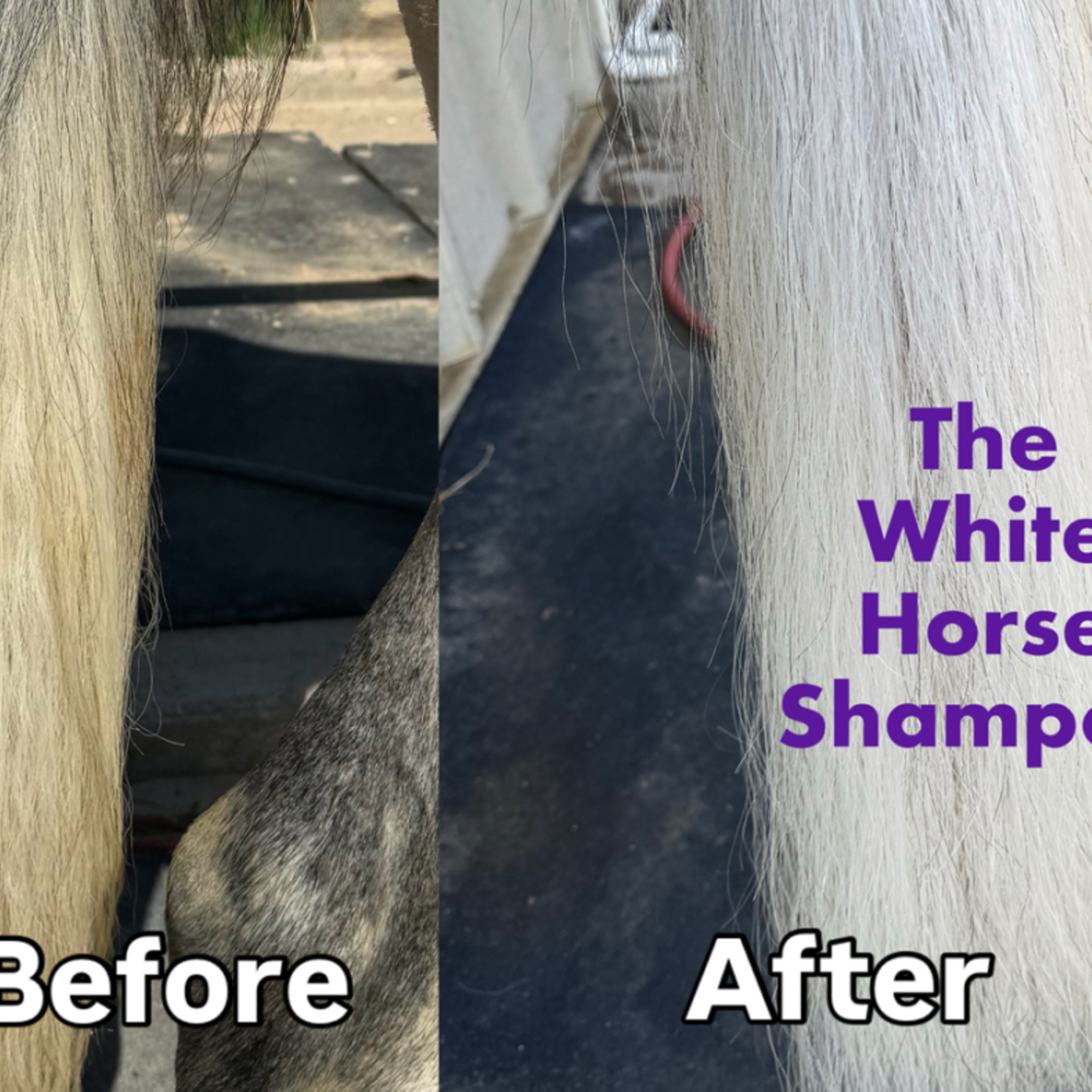 The White Horse The White Horse Shampoo 32oz
