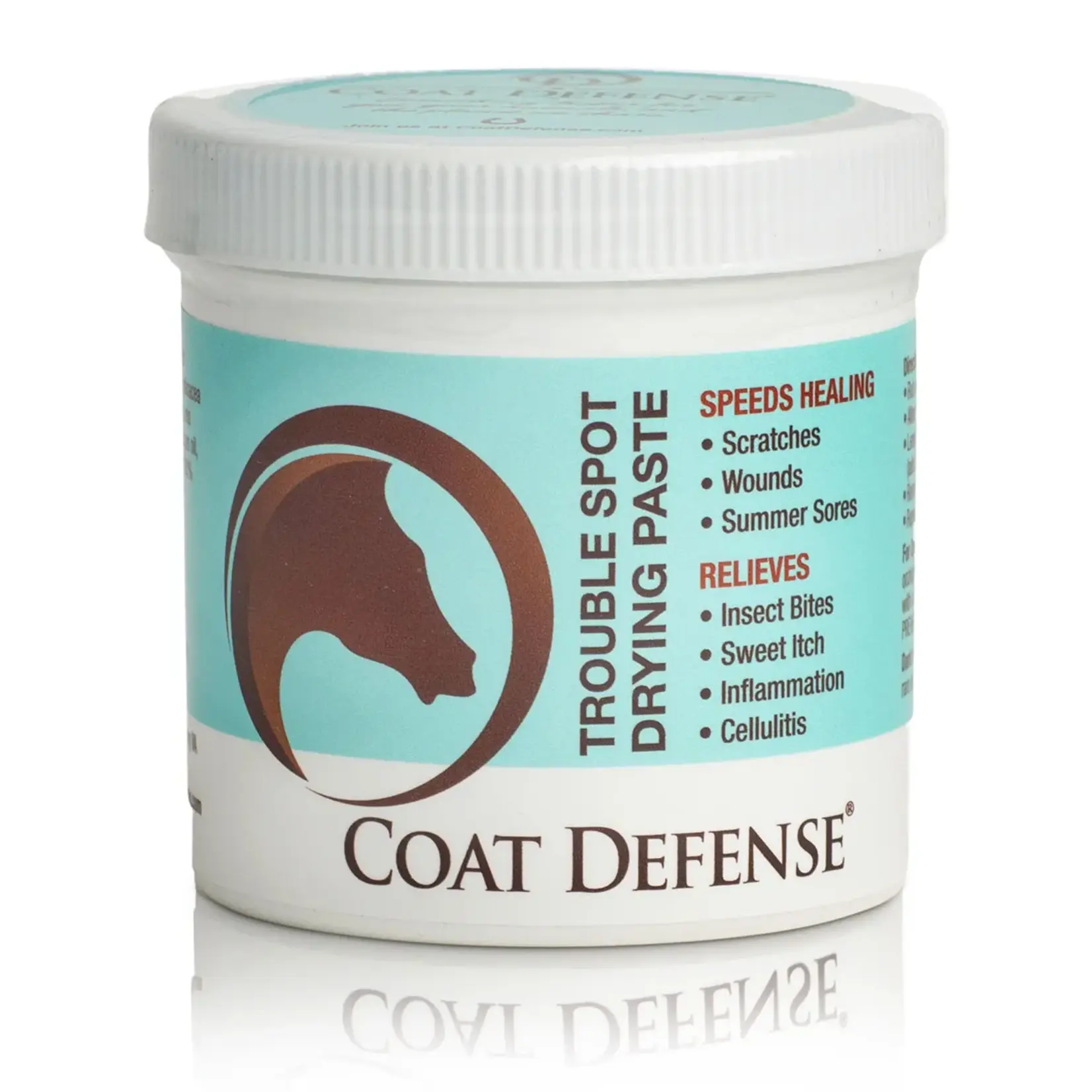 CoatDefense Coat Defense Trouble Spot Drying Paste 24oz