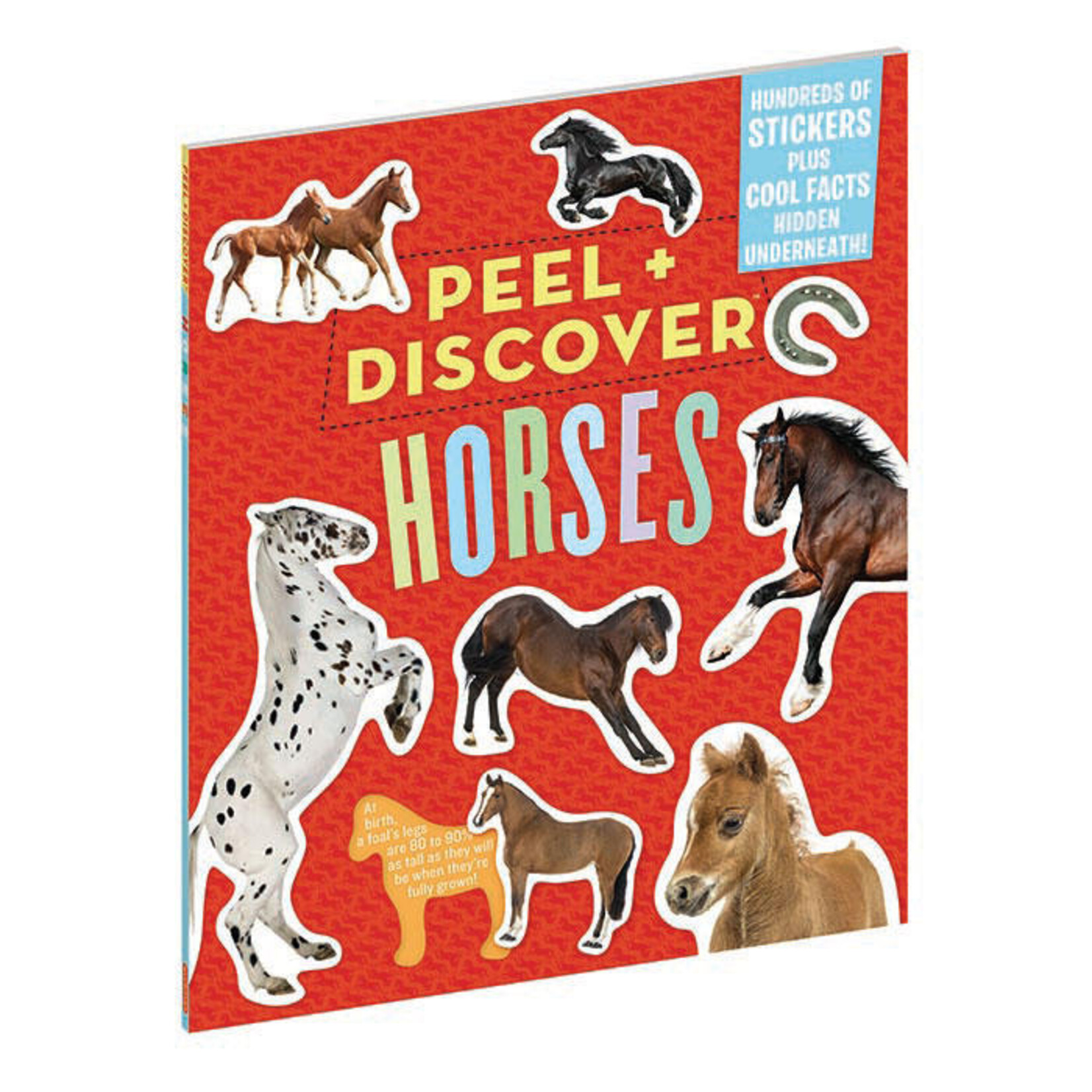 Peel and Discover Horses Sticker Book