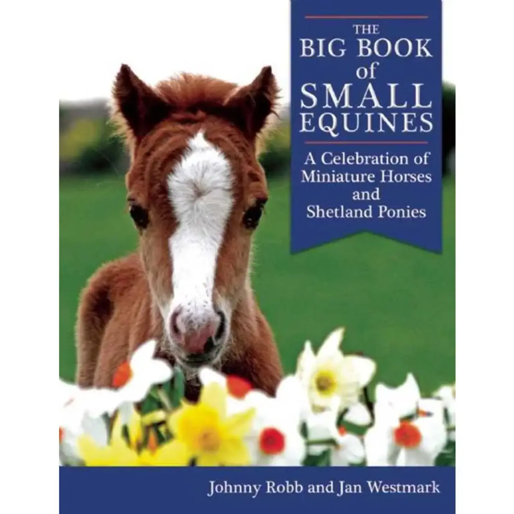 The Big Book of Small Equines