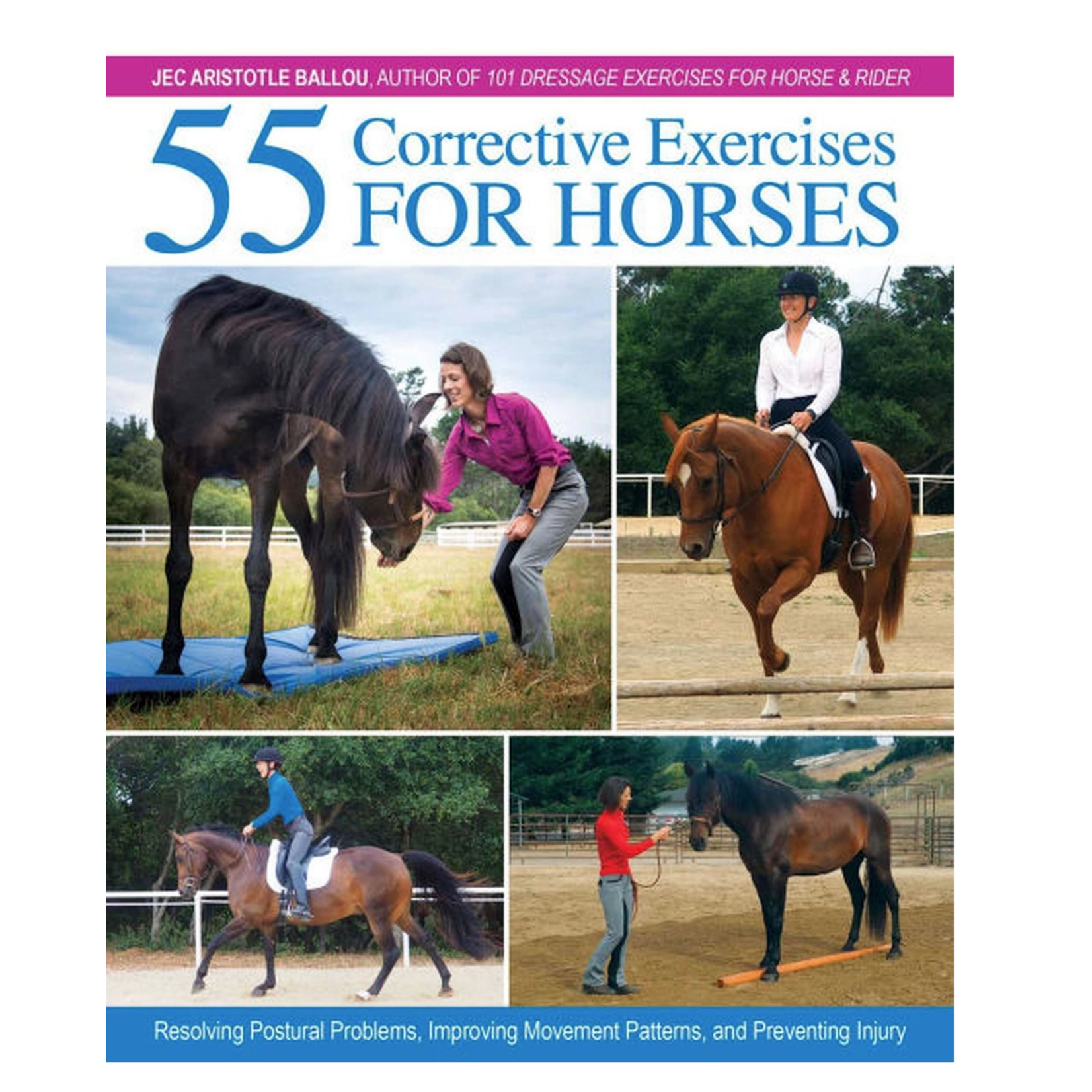 55 Corrective Exercises for Horses: Resolving Postural Problems, Improving Movement Patterns, and Preventing Injury