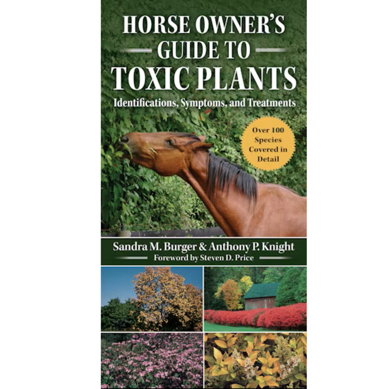 Horse Owner's Guide to Toxic Plants:  Identifications, Symptoms, and Treatments