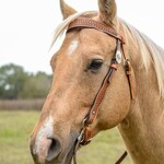 Circle Y Dawson Browband Headstall