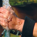 Cashel Cashel Aqua Shield Wrist Wrap