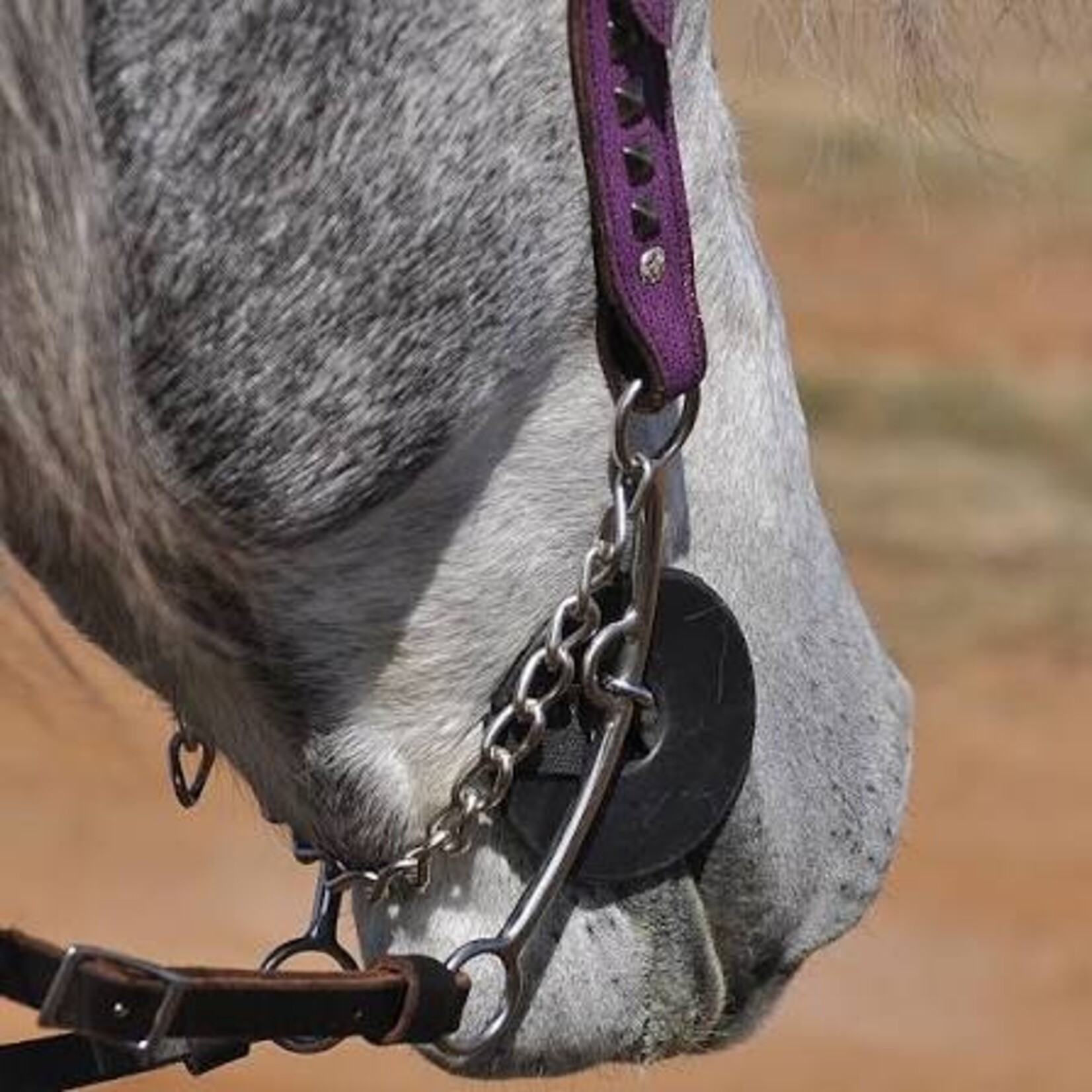 Cashel Cashel Rubber Bit Guard with Velcro