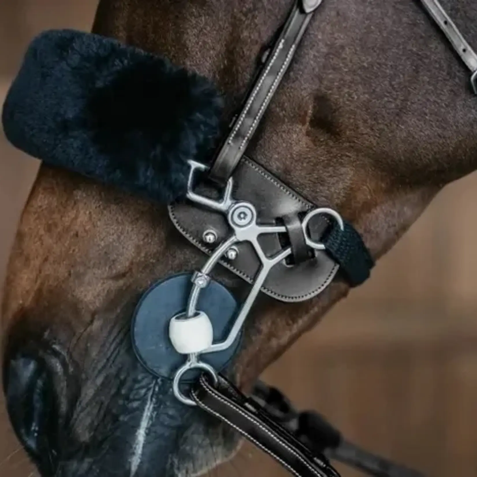 Trust Eq Hackamore Protector