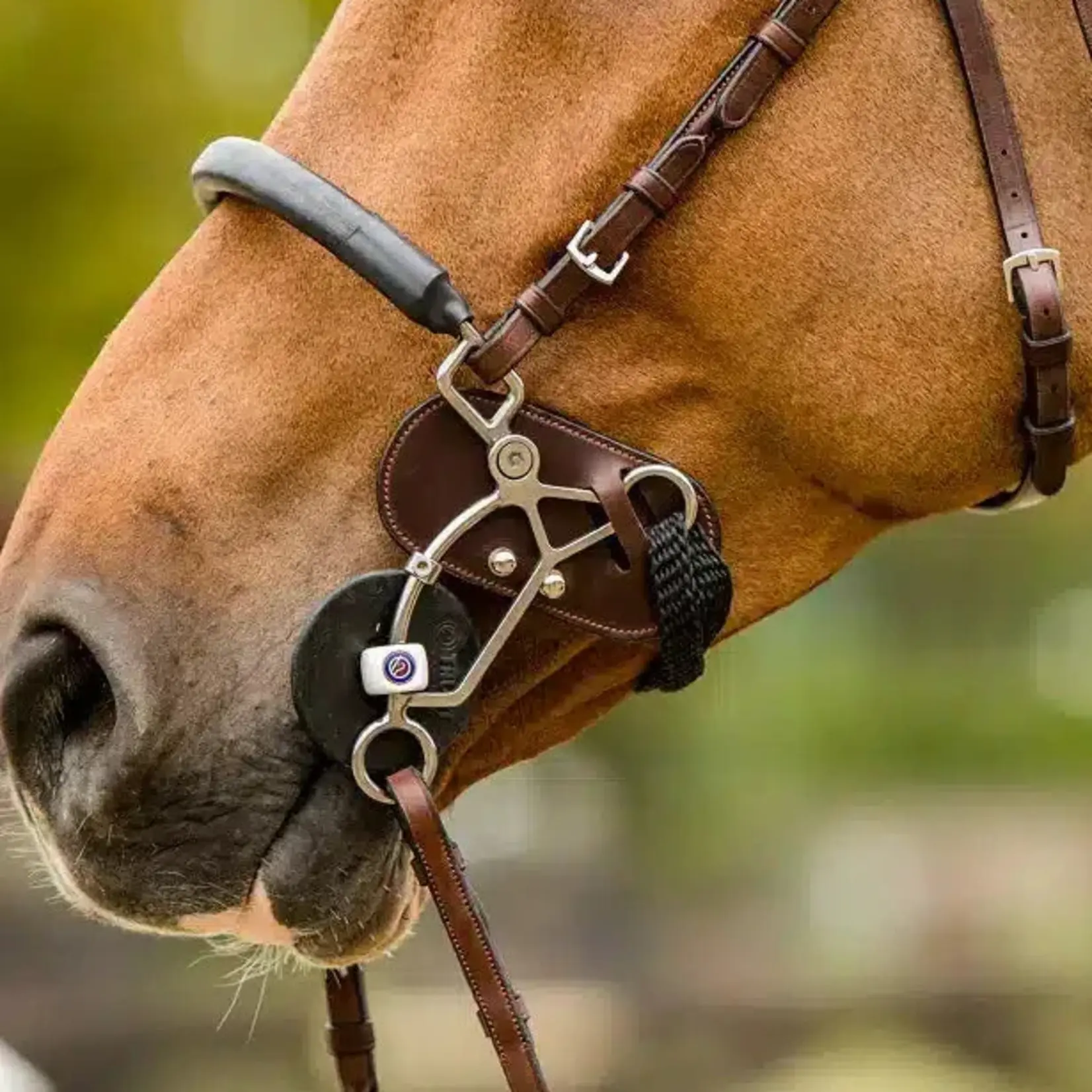 Trust Eq Hackamore Protector