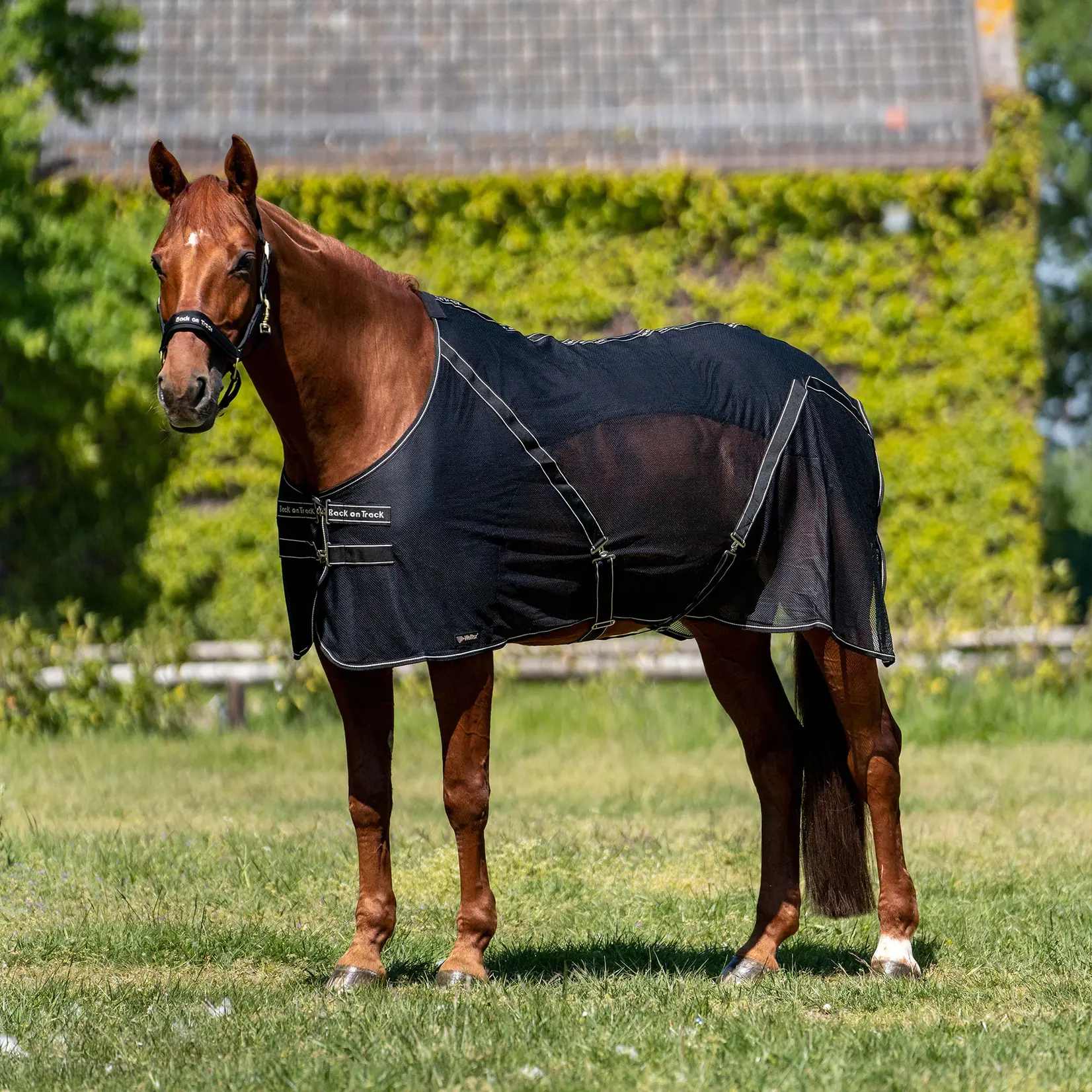 Back On Track Sienna Mesh Cooler