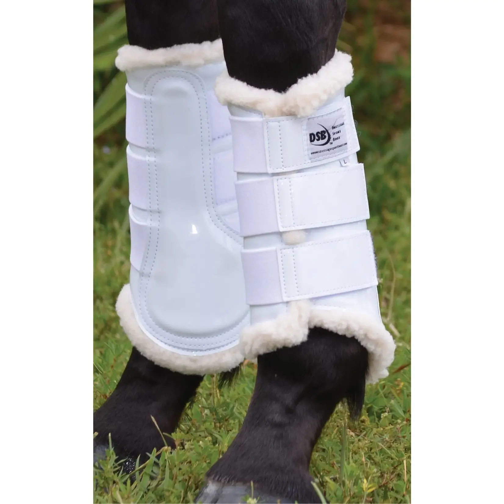 Dressage Sport Boot Patent Glossy