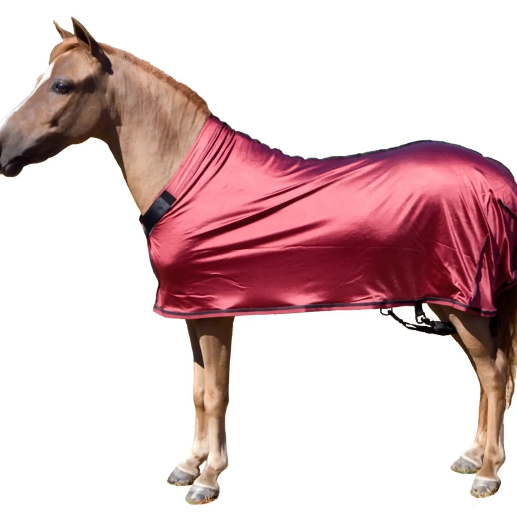 Sleazy Sleepwear Sleazy Sleepwear Mini Lycra Sheet