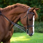 Red Barn Fancy Stitched 1/2" Flat Rein