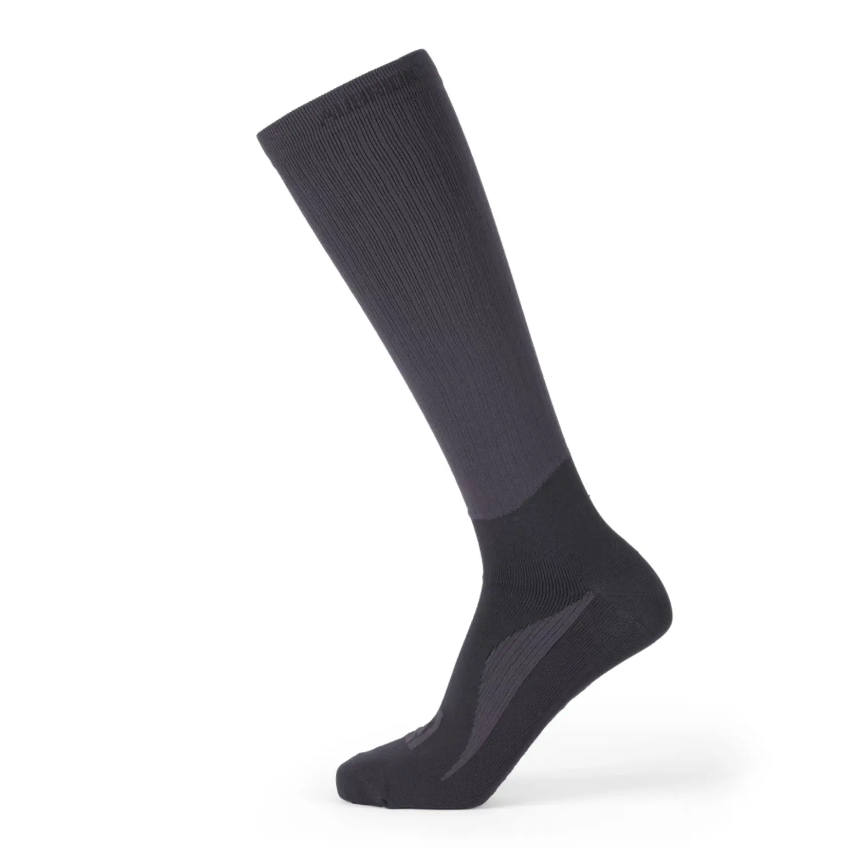 Aubrion Kids' React Knee High Sock