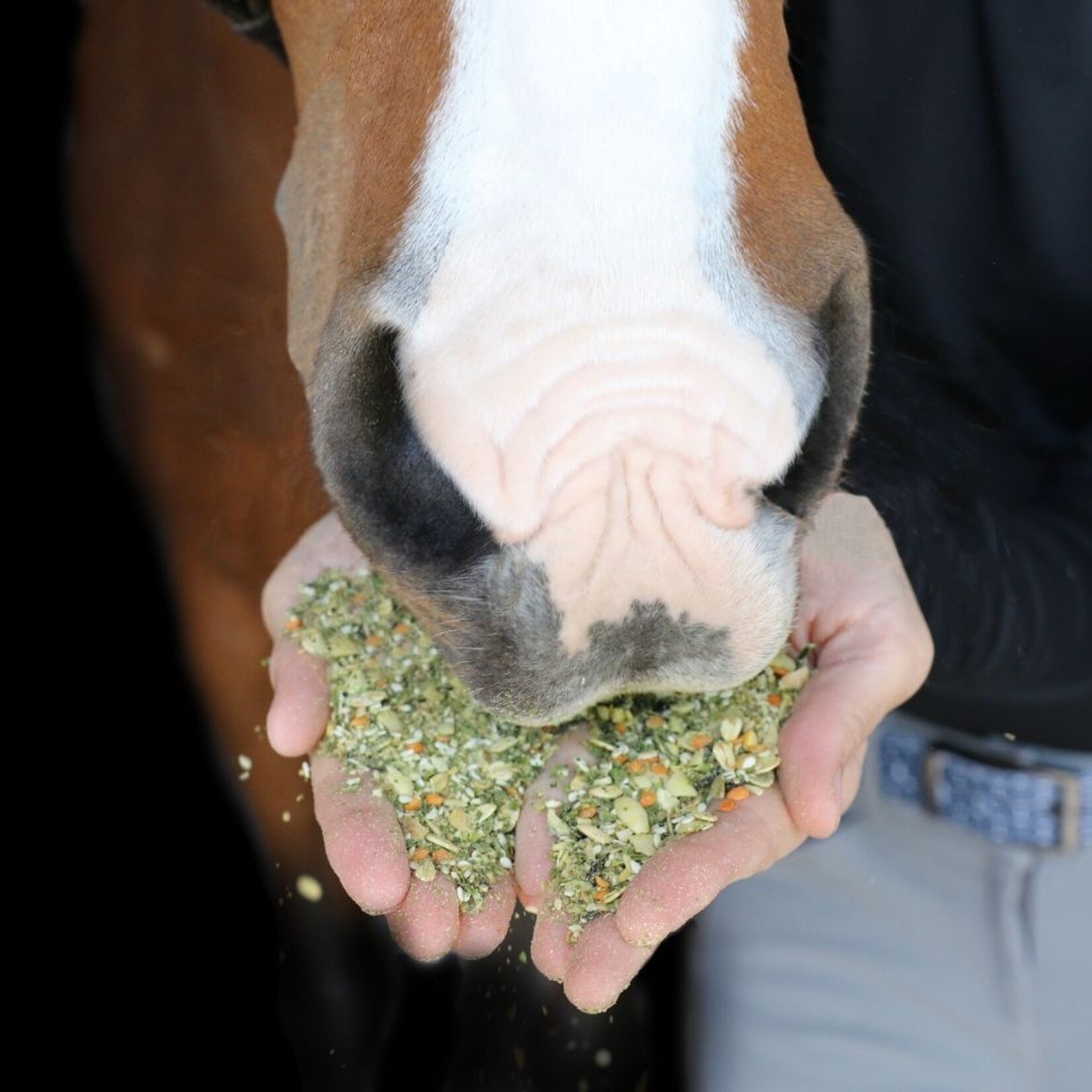 Equine Elixirs Equine Elixirs Crackdown Hoof 6.2lb