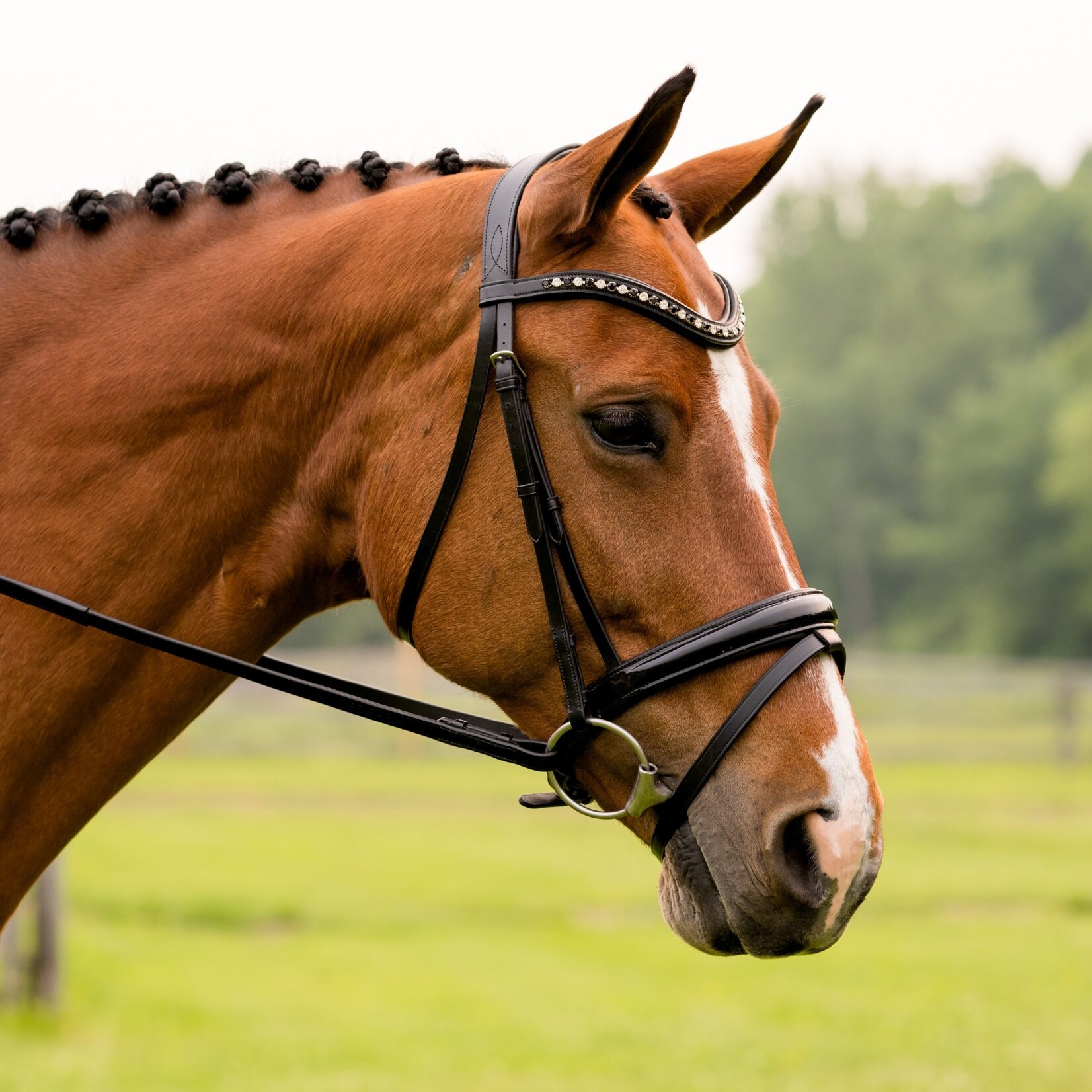 Red Barn Stride Headstall with Flash