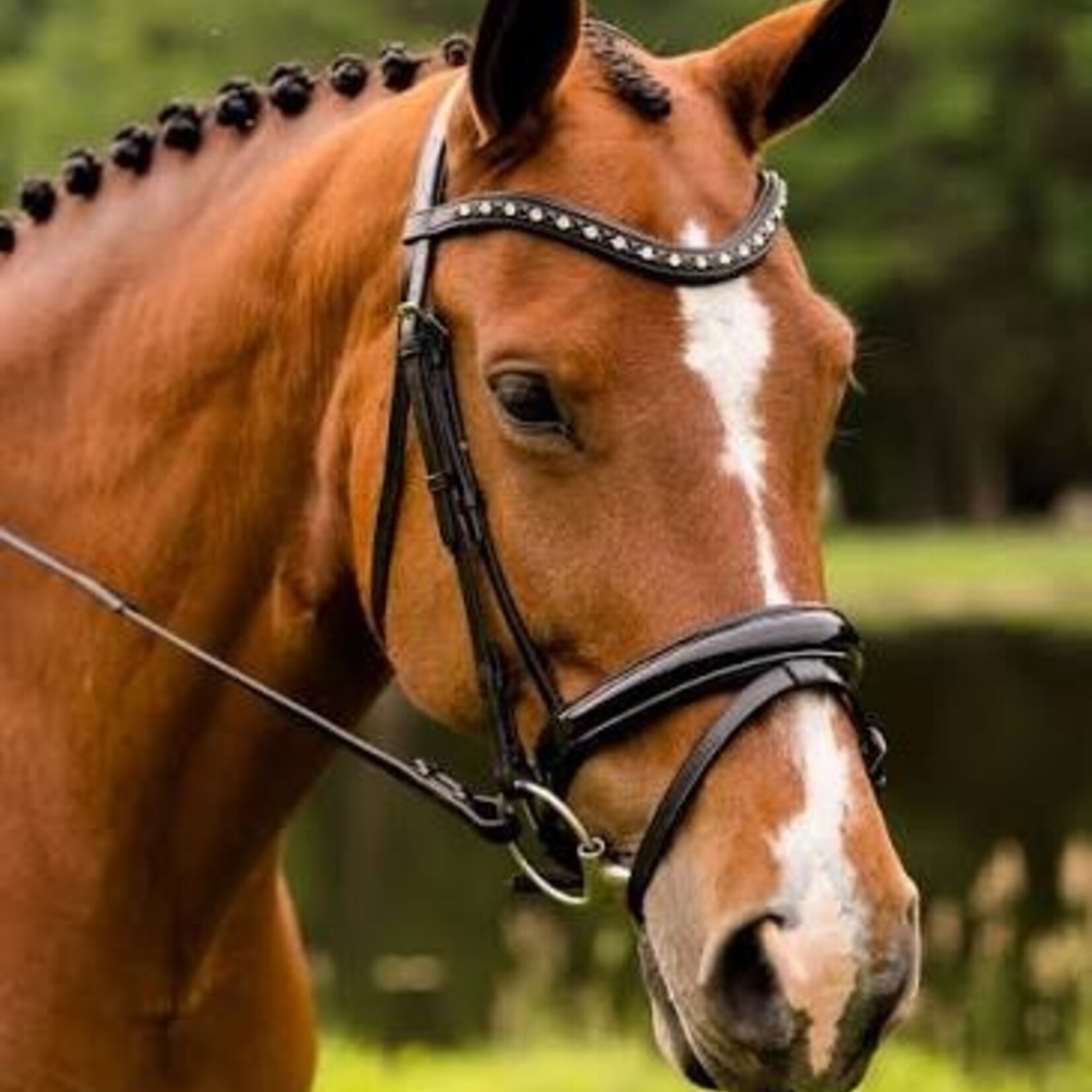 Red Barn Stride Headstall with Flash