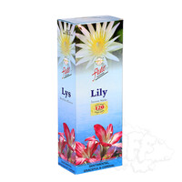 Flute Incense