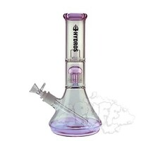 Hydros Glass Beaker HY-525