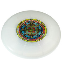 Frisbee w/ Multicolour Disco Flashlight