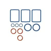 Venty-Seal ring Kit
