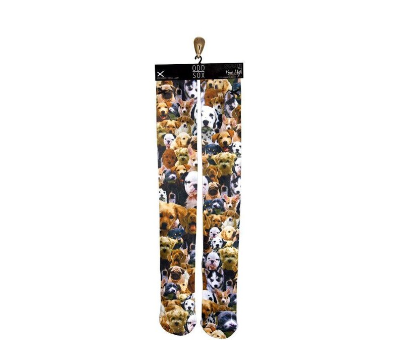 Odd Sox Kneehigh Puppies