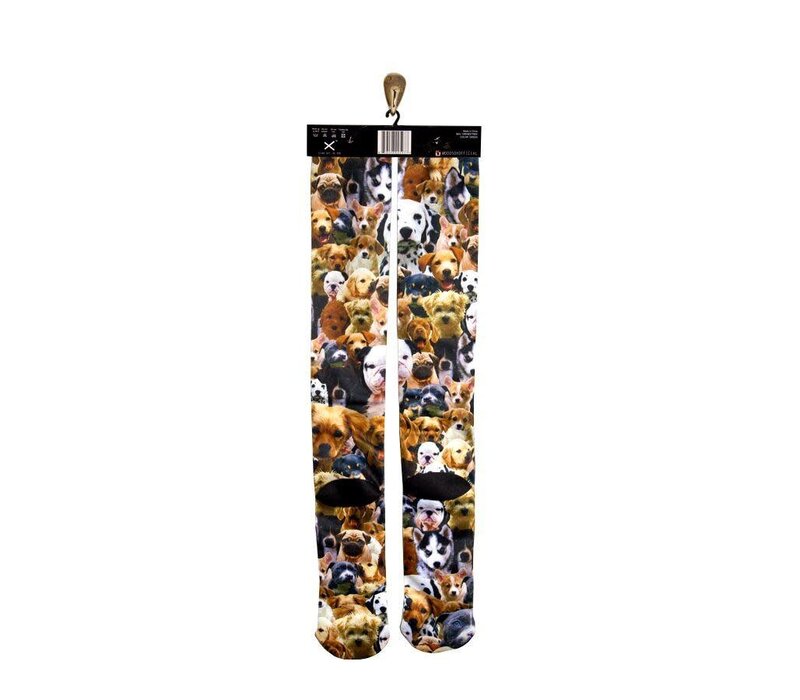 Odd Sox Kneehigh Puppies