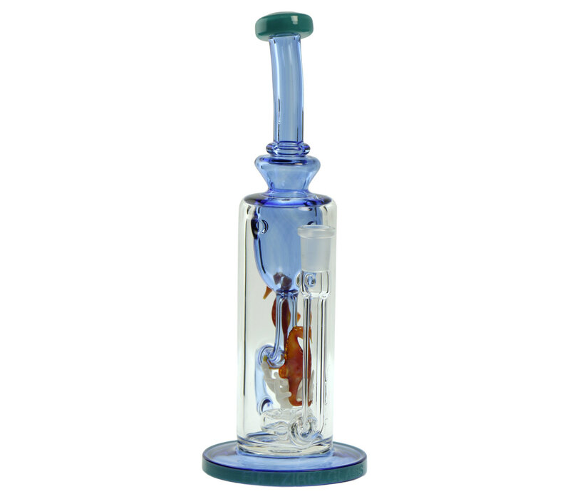 Seahorse Klein Torus