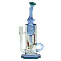 Seahorse Klein Torus