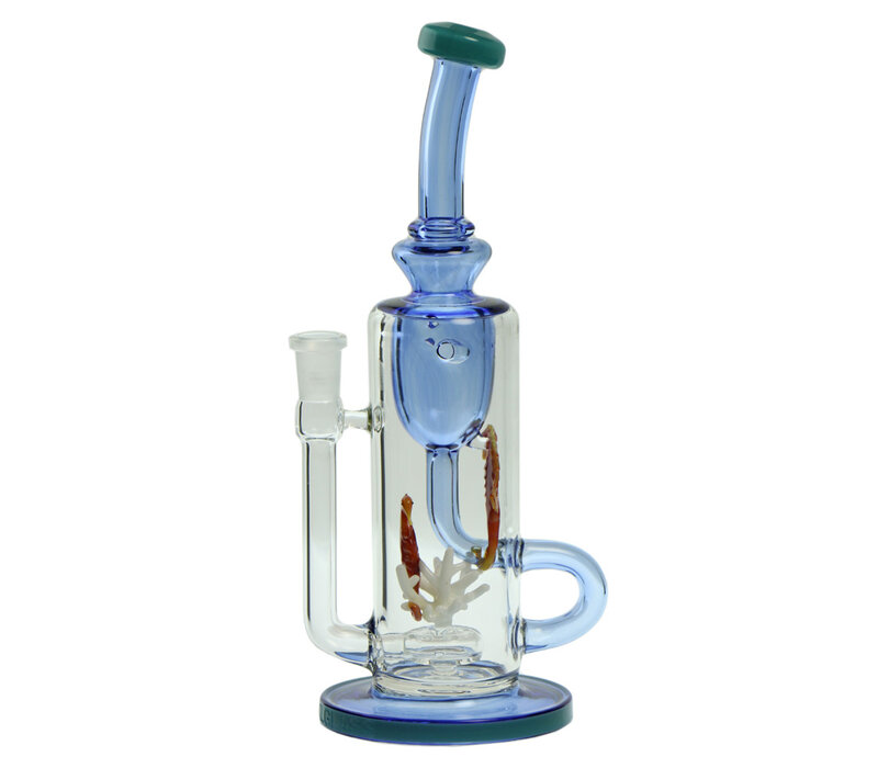 Seahorse Klein Torus