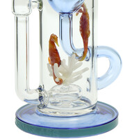 Seahorse Klein Torus