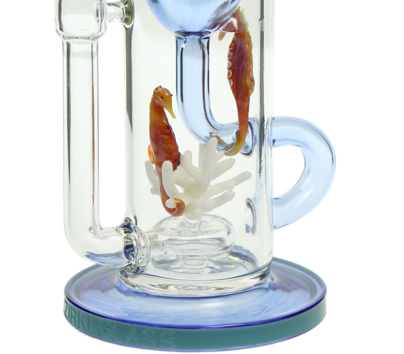 Seahorse Klein Torus